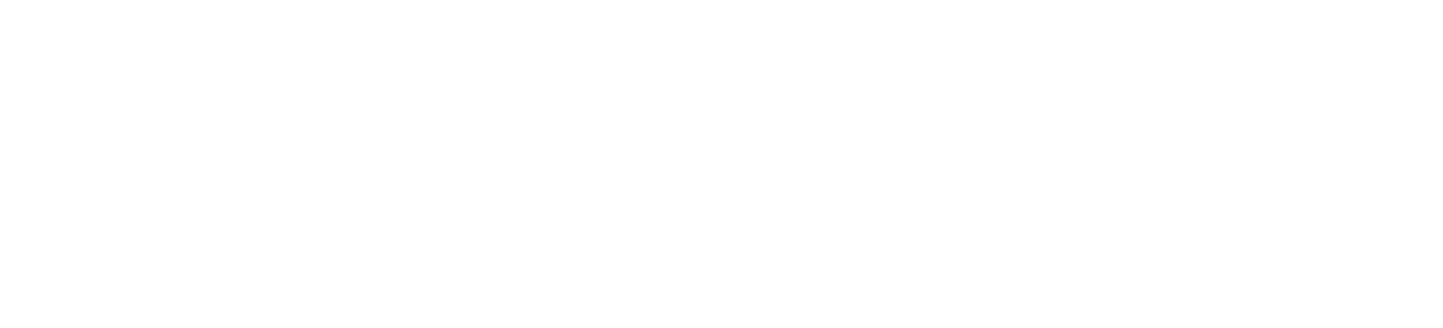 Artemis Consulting